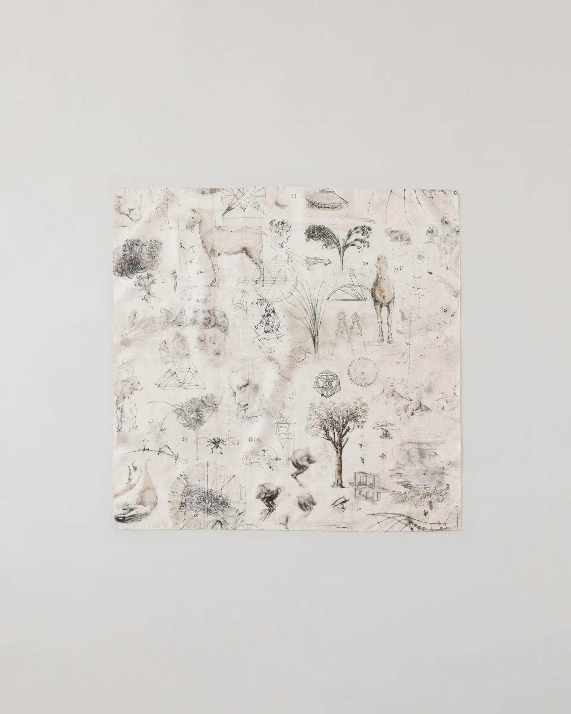 NICENESS 25AW LEO / Da Vinci Printed Silk Scarf